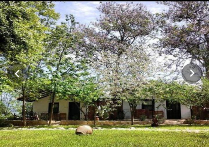 Likya Saklibahce Hotel Kemer  Exterior photo